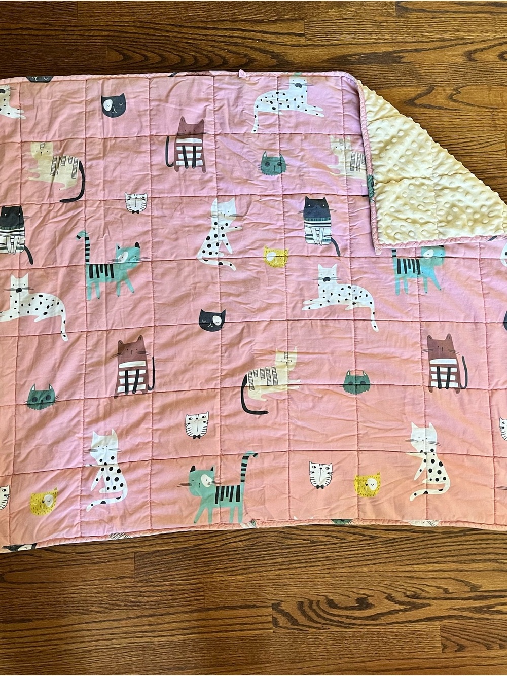 Weighted Blanket Plush Minky-Backed Pink Cat Print Quilt 5lbs toddler bed